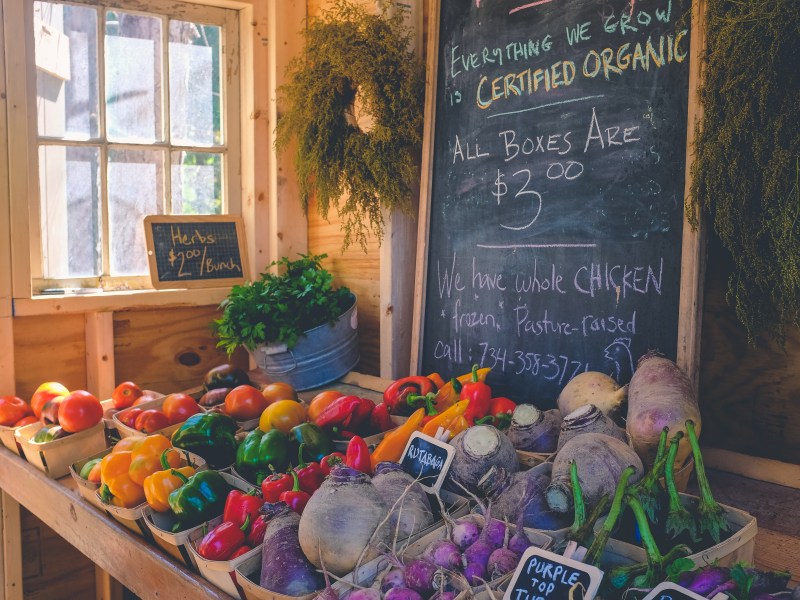 A table shows a selection of fruit and veg such as tomatoes, carrot, and cabbages, with a chalk board sign behind it.