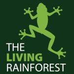 Group logo of The Living Rainforest